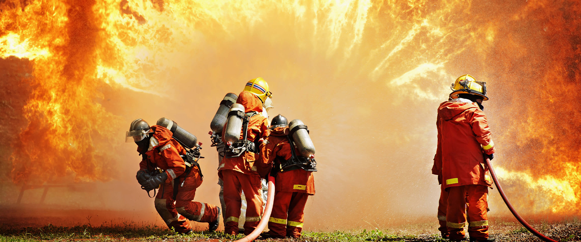 վҳ-㽭ΰ¹betvlctor1946豸޹˾