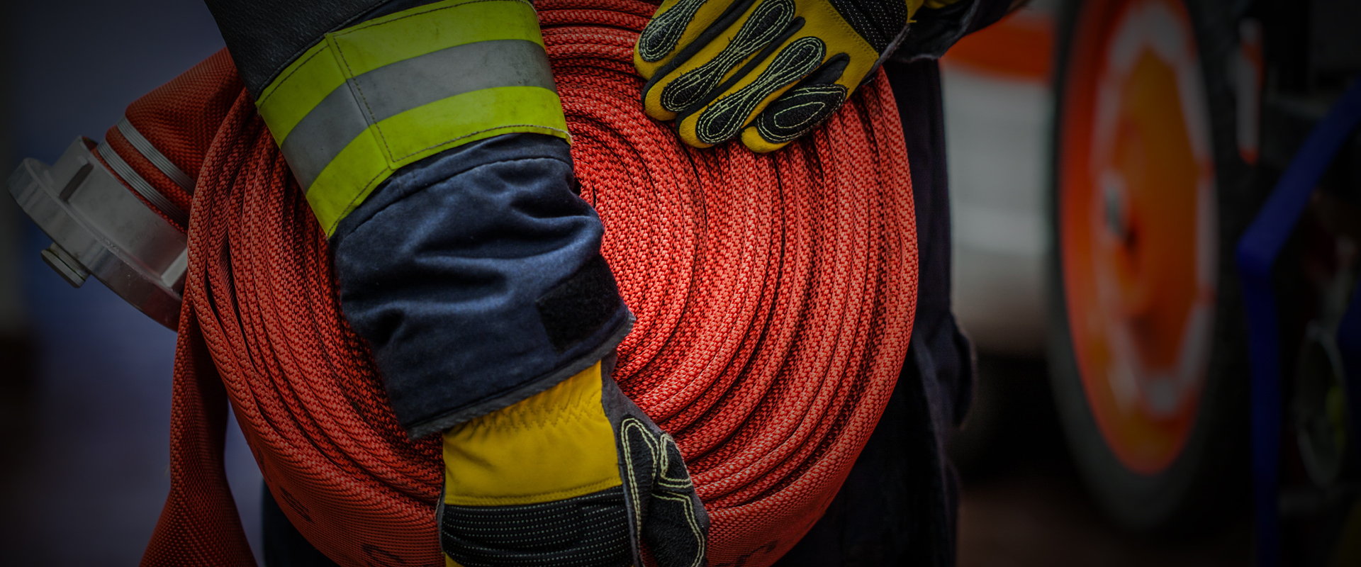 վҳ-㽭ΰ¹betvlctor1946豸޹˾