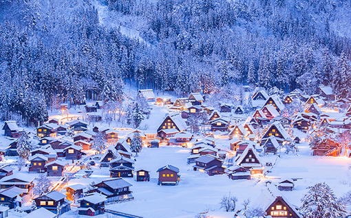 ;-㽭ΰ¹betvlctor1946豸޹˾