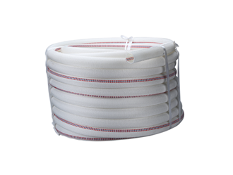 ͹-㽭ΰ¹betvlctor1946豸޹˾