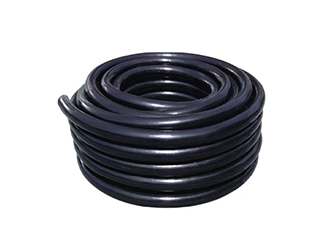 -㽭ΰ¹betvlctor1946豸޹˾